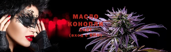 дмт Аркадак