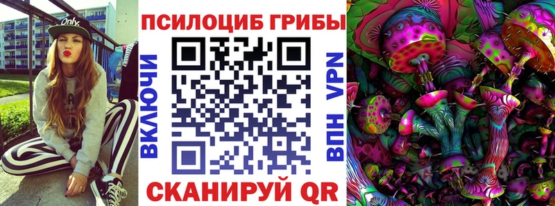 Псилоцибиновые грибы Psilocybine cubensis  как найти закладки  Юрьевец 